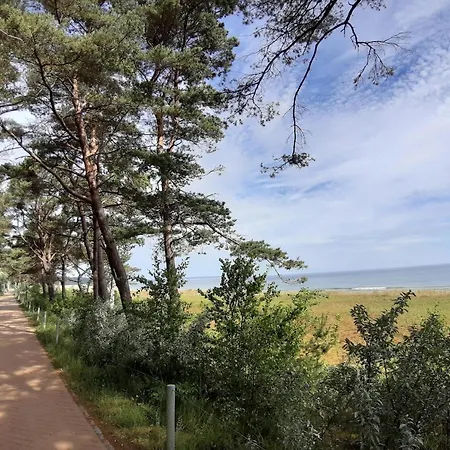 Daire Complex In Near *