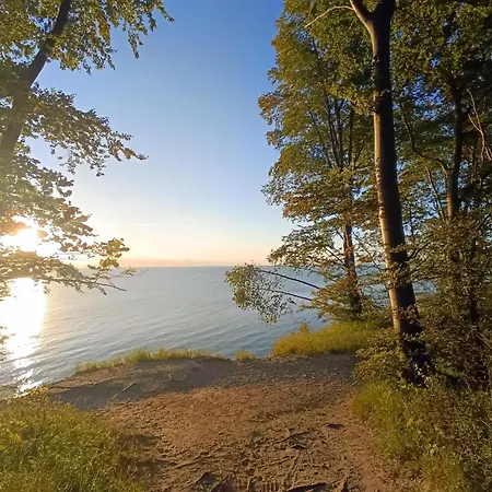 Complex In Near Daire *